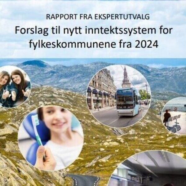 Ekspertutval